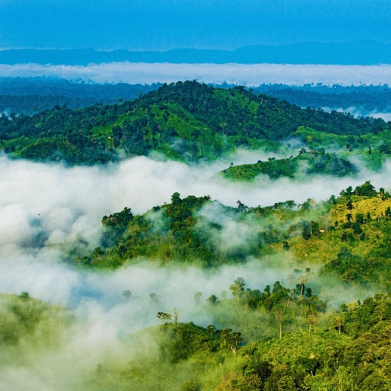 মেঘের রাজ্য সাজেক